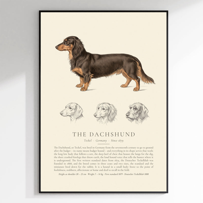 THE KENNEL BOOK