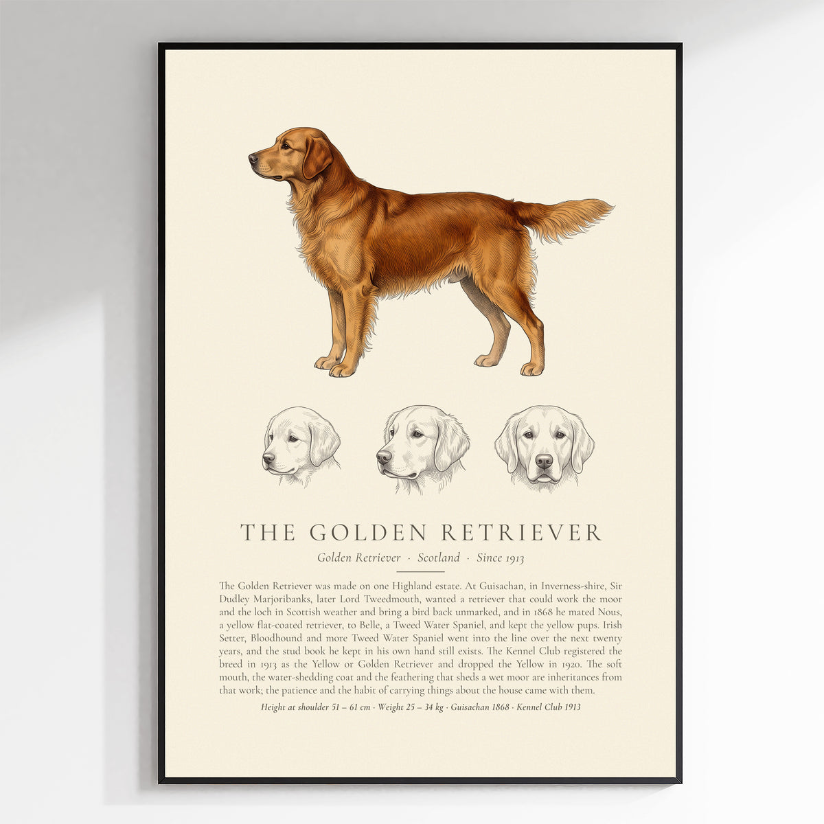 Dark Gold Golden Retriever Plate - The Kennel Book