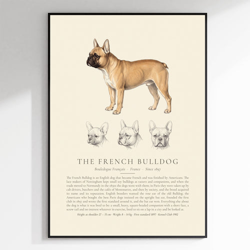 Fawn French Bulldog Plate - The Kennel Book