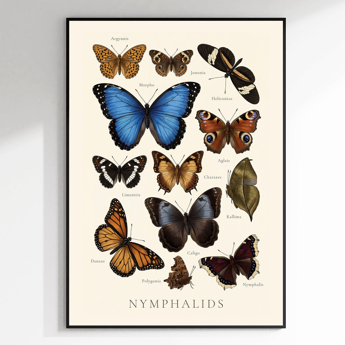 Nymphalidae — Butterfly Chart poster