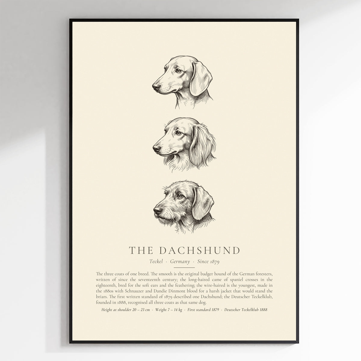 Dachshund Three Coats Ink Plate - The Kennel Book