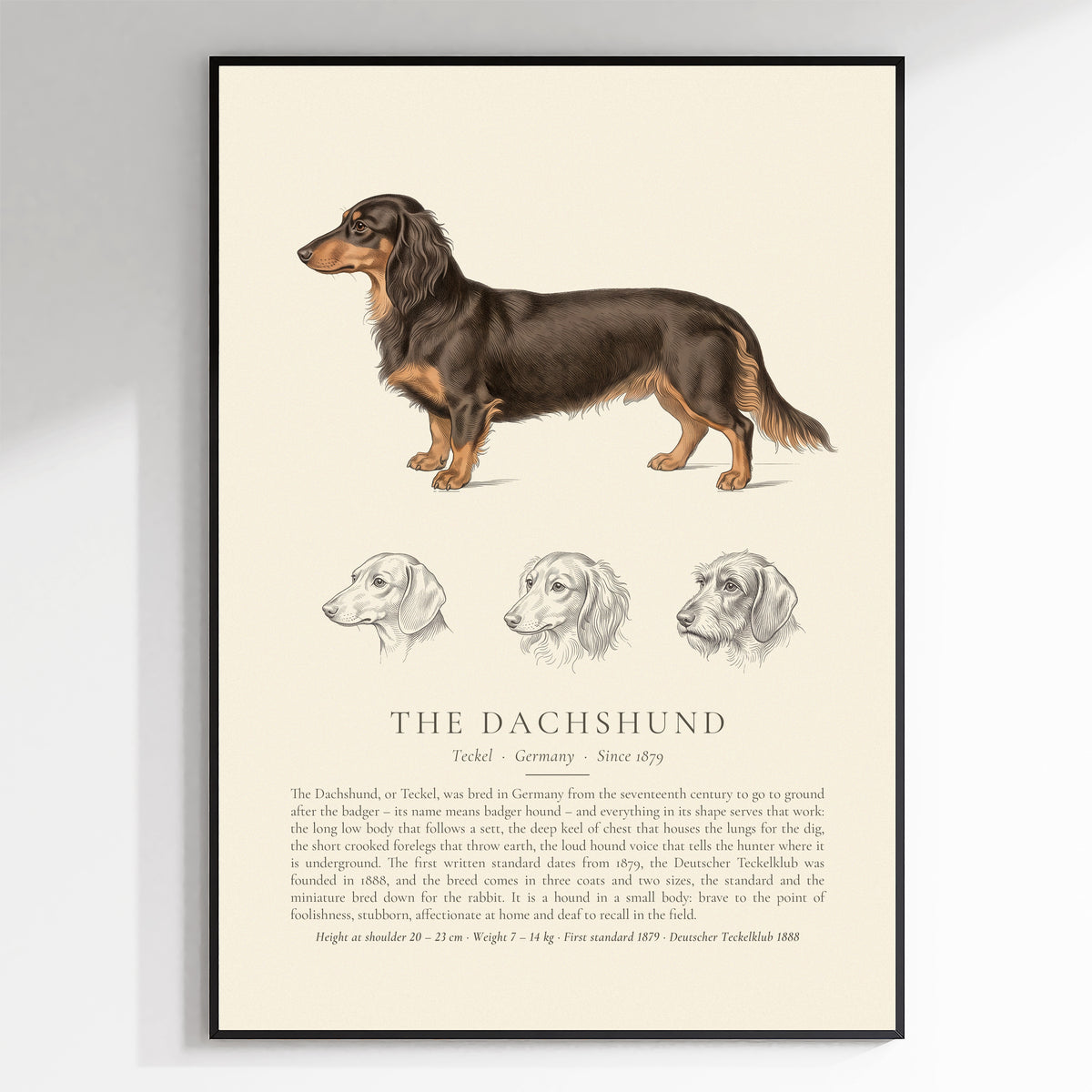 Long-haired Dachshund Plate - The Kennel Book