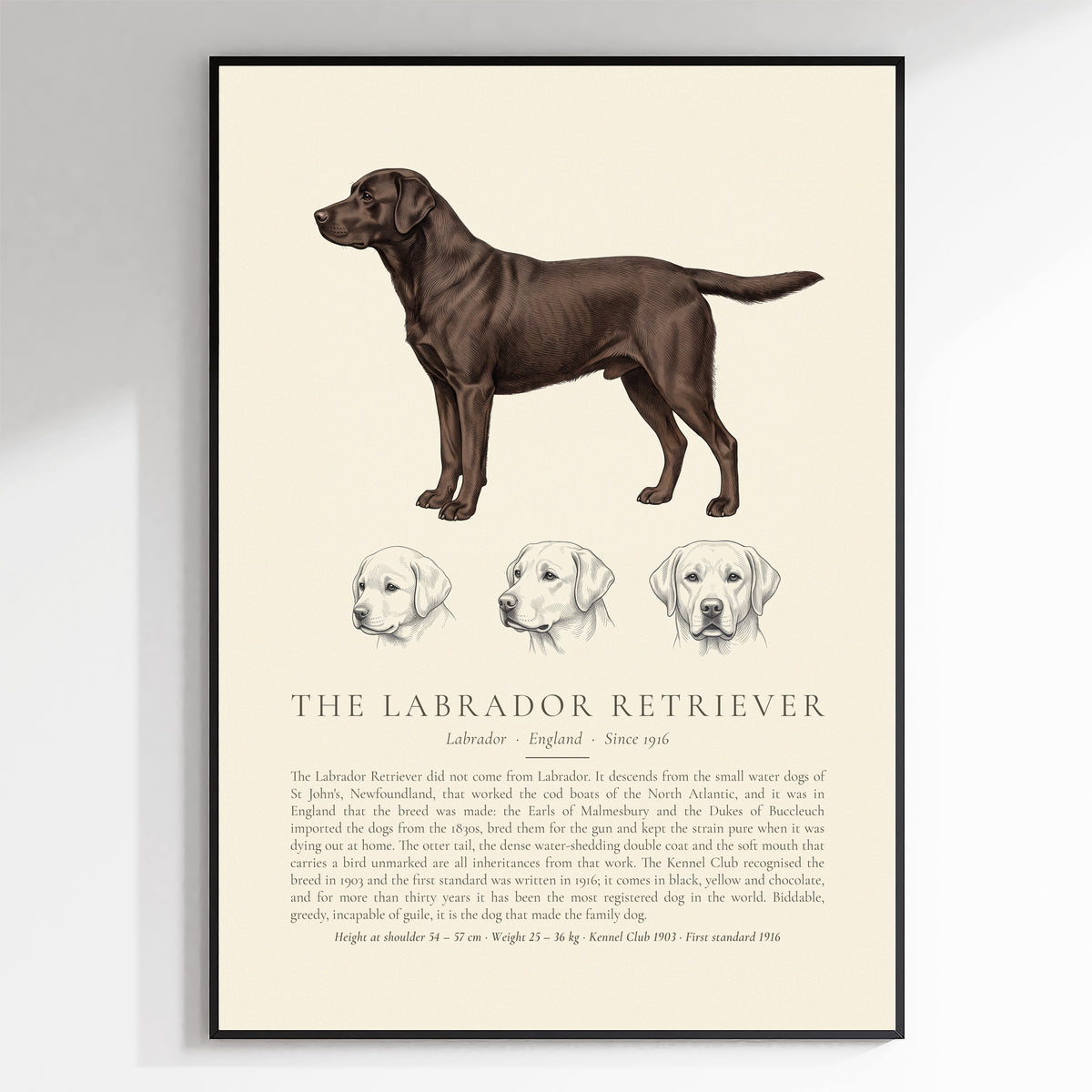 Black Labrador Retriever Plate - The Kennel Book