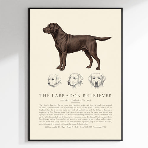 Black Labrador Retriever Plate - The Kennel Book