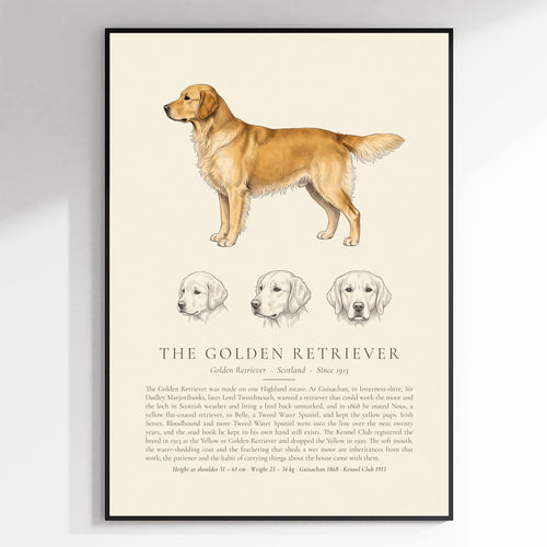 Gold Golden Retriever Plate - The Kennel Book