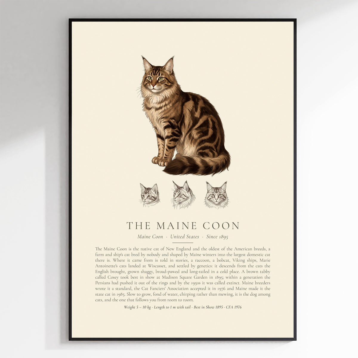 Brown Tabby Maine Coon Plate - The Kennel Book