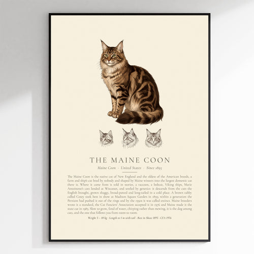 Brown Tabby Maine Coon Plate - The Kennel Book