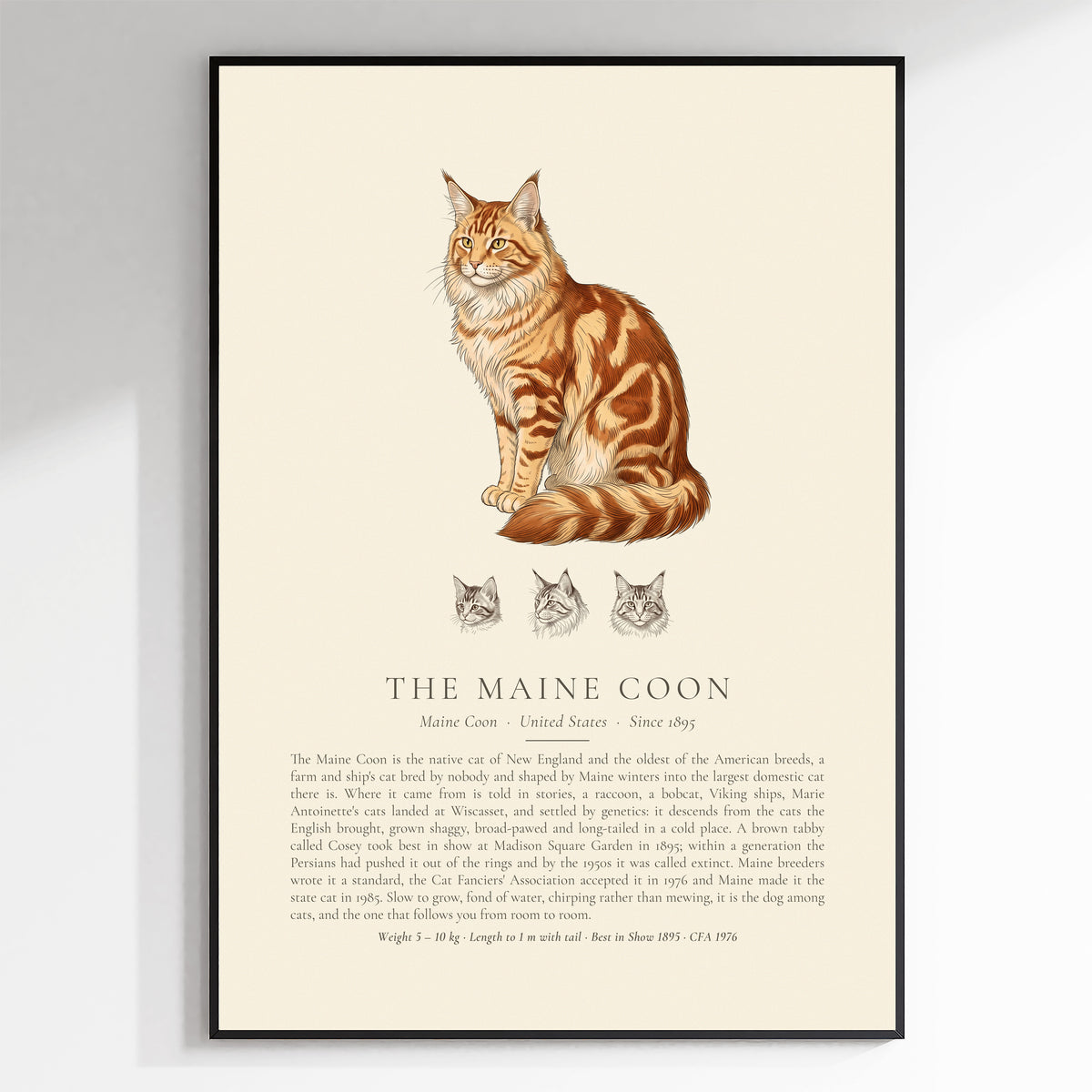 Red Tabby Maine Coon Plate - The Kennel Book