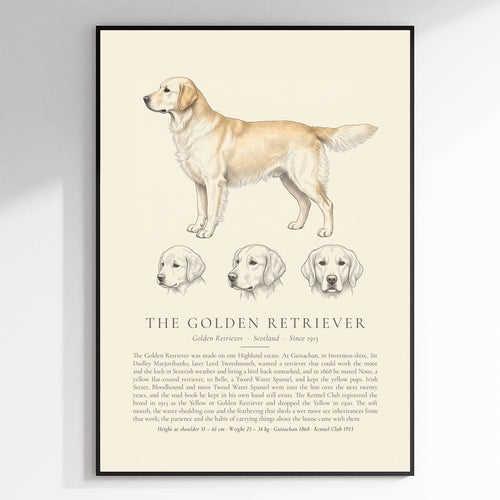 Cream Golden Retriever Plate - The Kennel Book