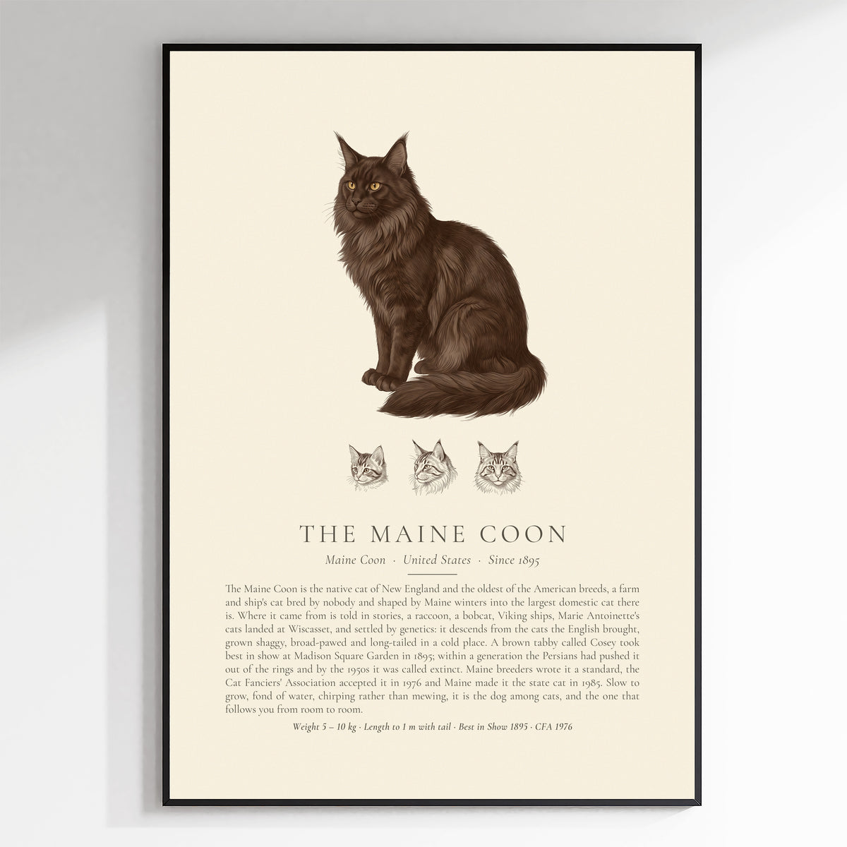 Black Maine Coon Plate - The Kennel Book