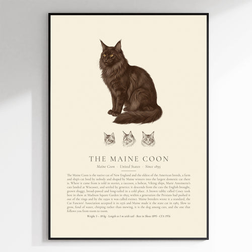 Black Maine Coon Plate - The Kennel Book