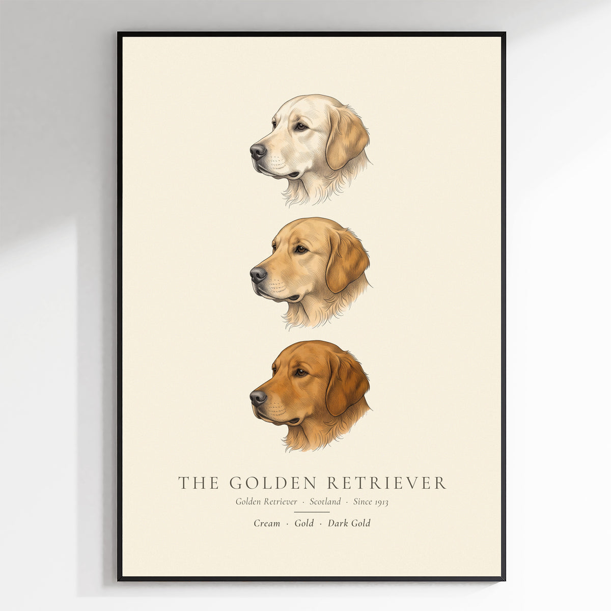 Golden Retriever Three Colours Plate - The Kennel Book