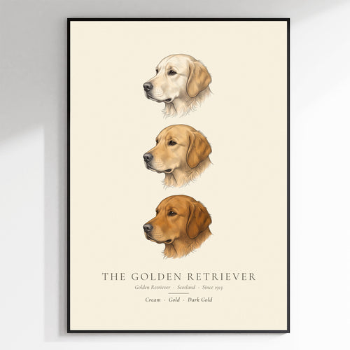 Golden Retriever Three Colours Plate - The Kennel Book