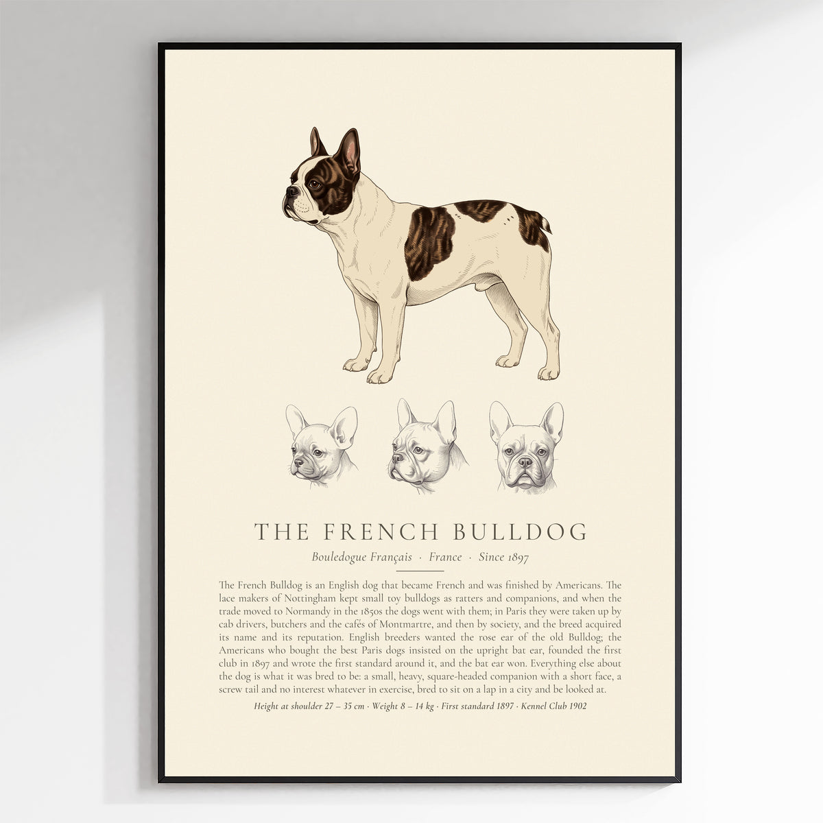 Pied French Bulldog Plate - The Kennel Book