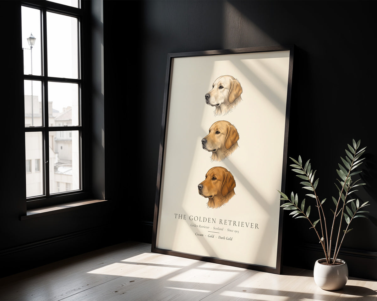 Golden Retriever Three Colours Plate - The Kennel Book