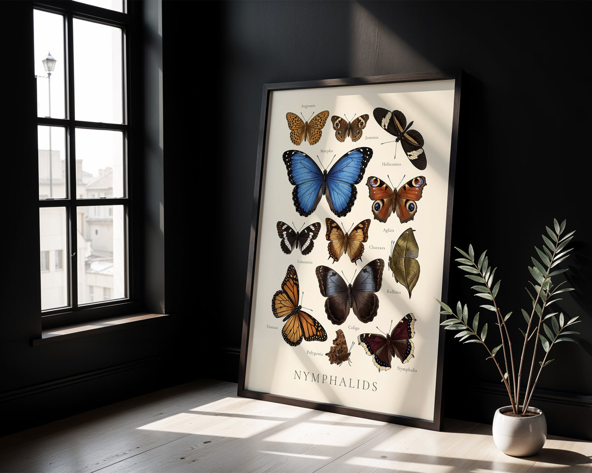 Nymphalidae — Butterfly Chart poster