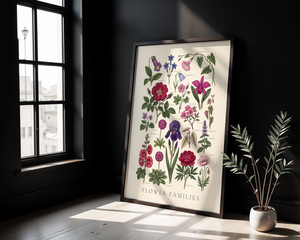 Flower Families - Botanical Chart, Sheet I
