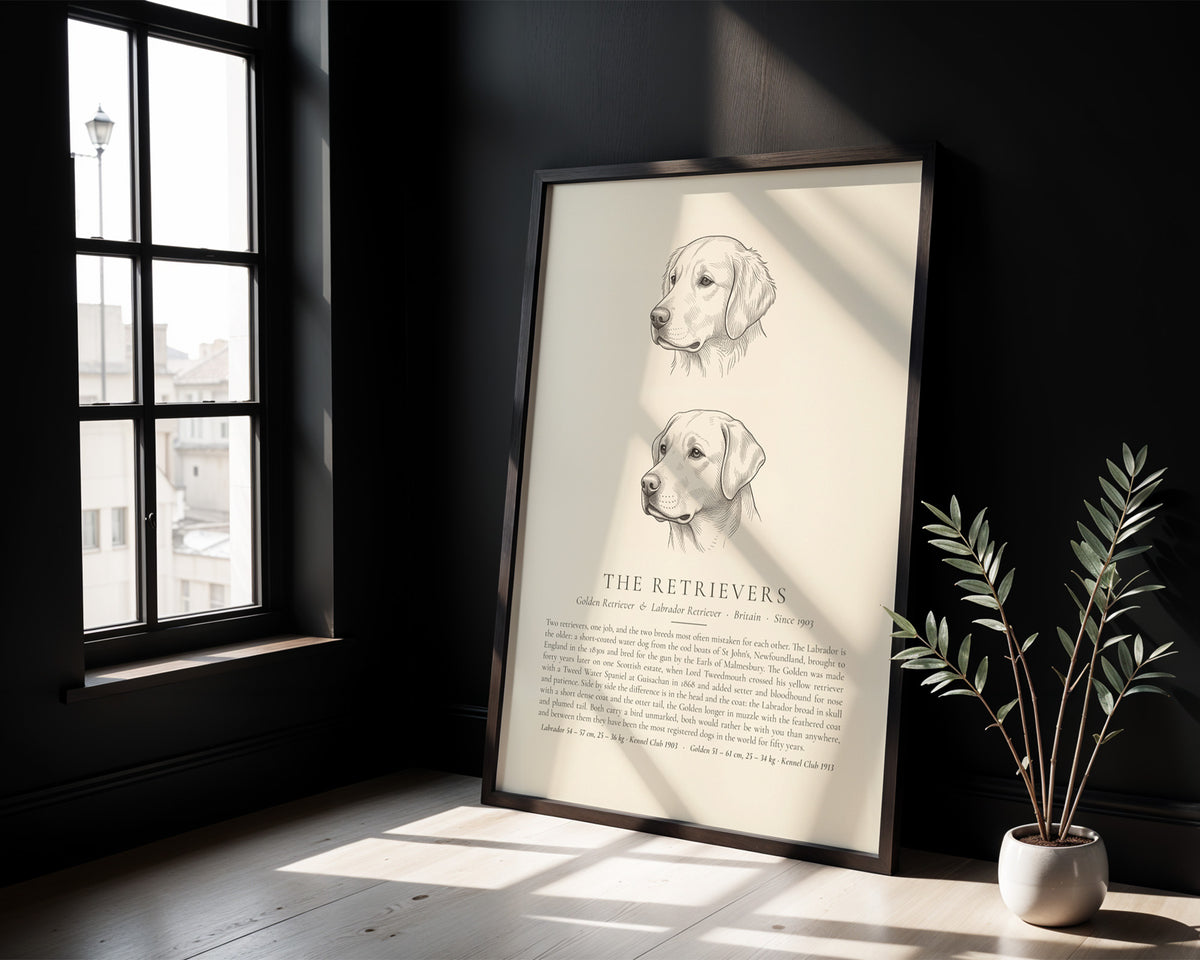 The Retrievers plate, Golden Retriever and Labrador Retriever head studies, The Kennel Book - detail