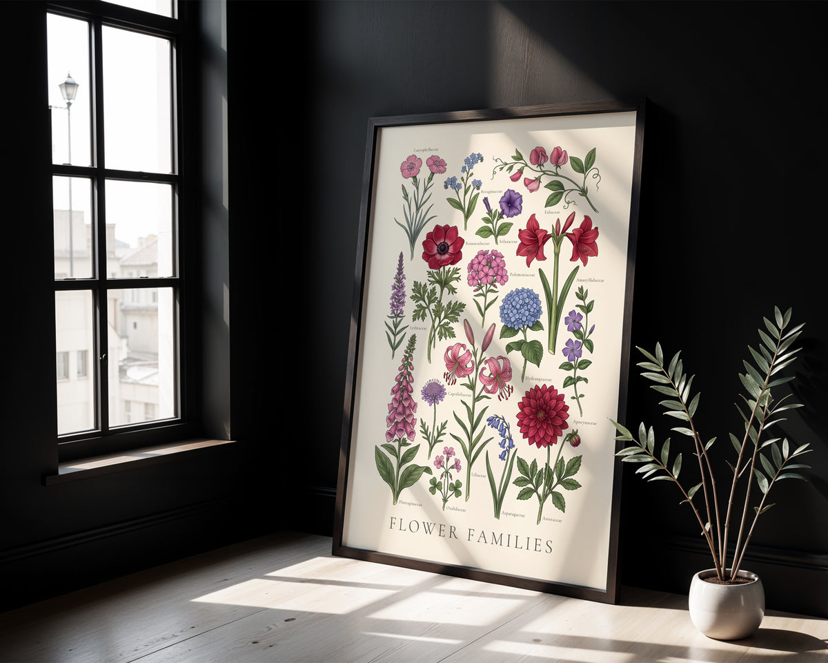 Flower Families - Botanical Chart, Sheet II