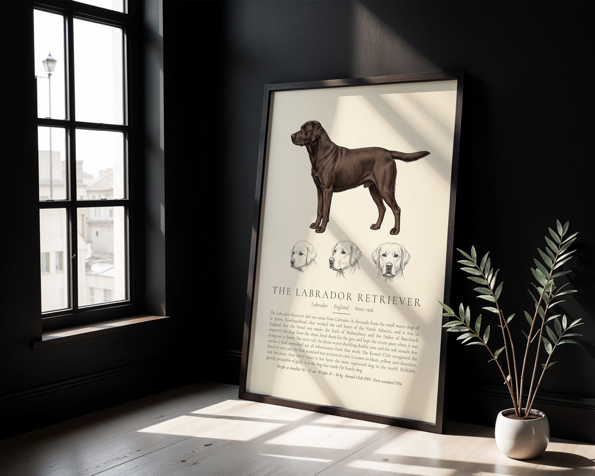 Black Labrador Retriever Plate - The Kennel Book