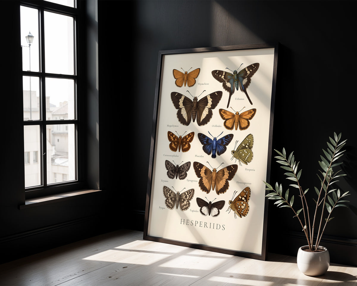 Hesperiids — Butterfly Chart poster