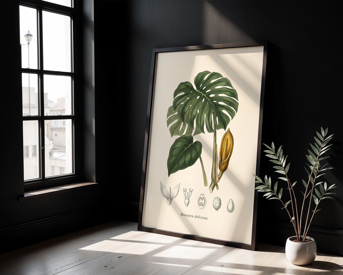 Monstera Deliciosa - Antique Botanical Plate