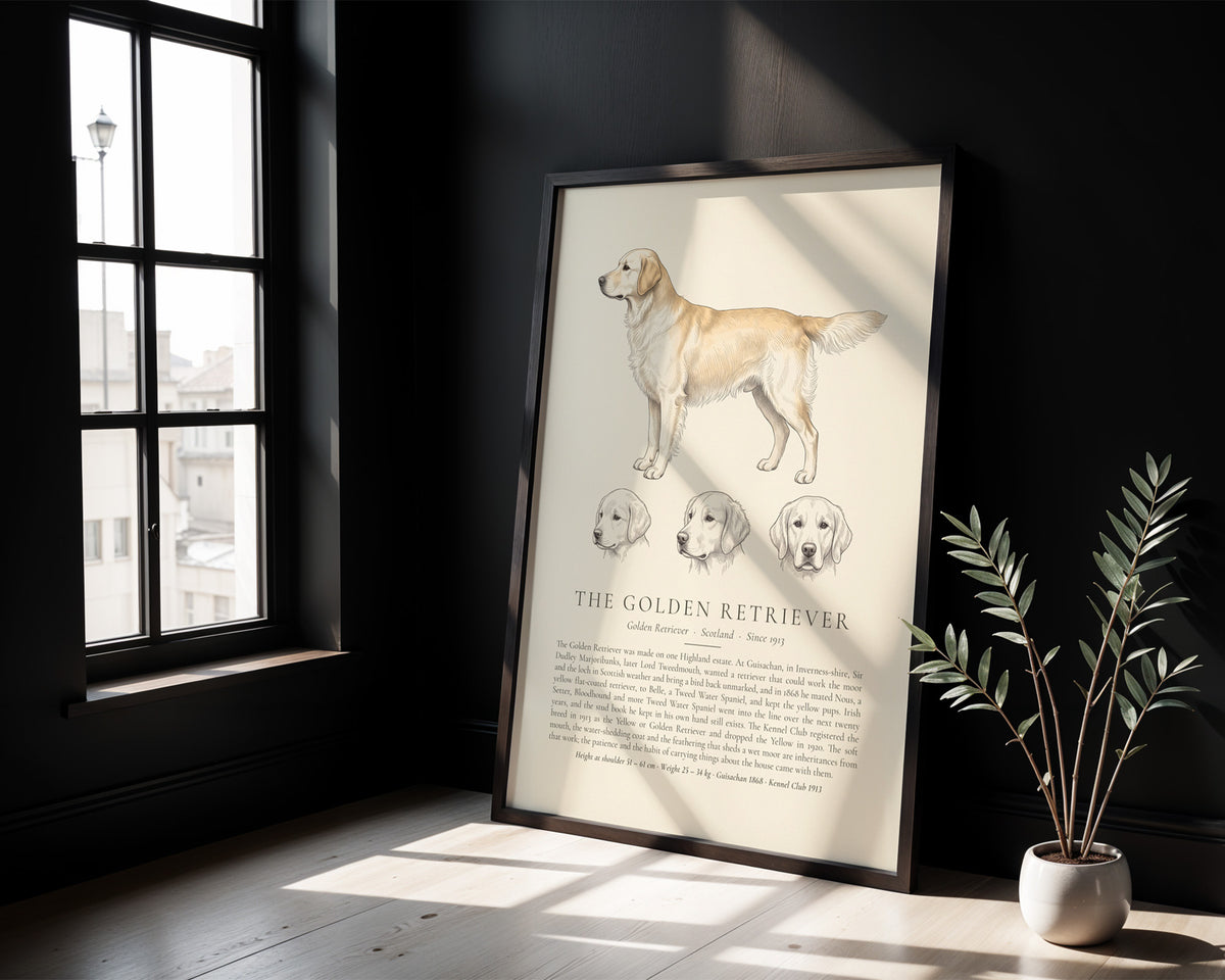 Cream Golden Retriever Plate - The Kennel Book