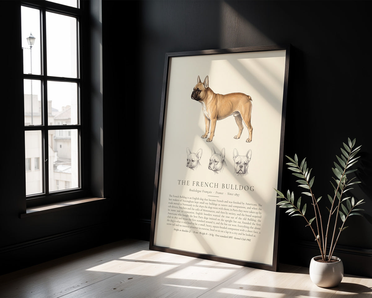 Fawn French Bulldog Plate - The Kennel Book