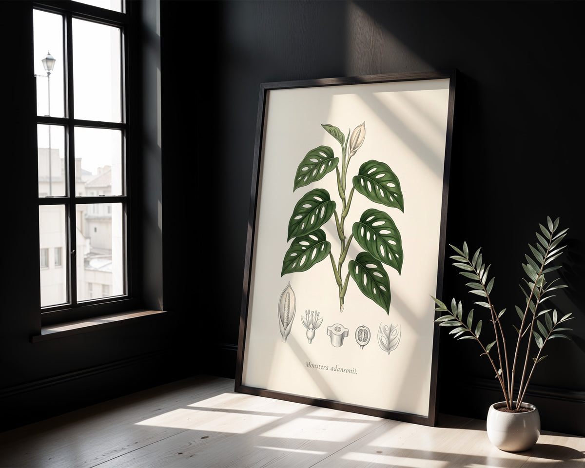 Swiss Cheese Vine Botanical Plate - Monstera adansonii