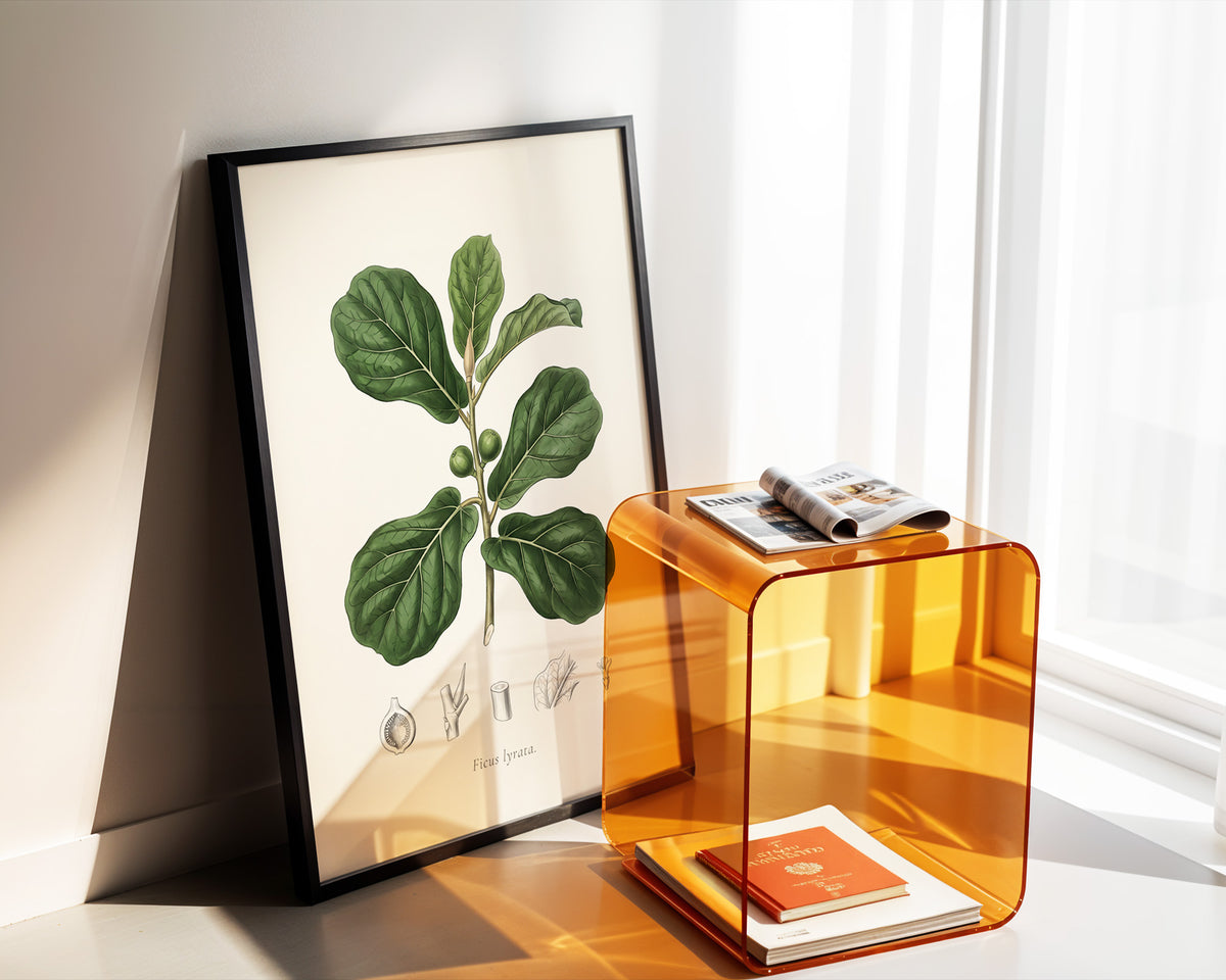 Fiddle Leaf Fig Botanical Plate - Ficus lyrata
