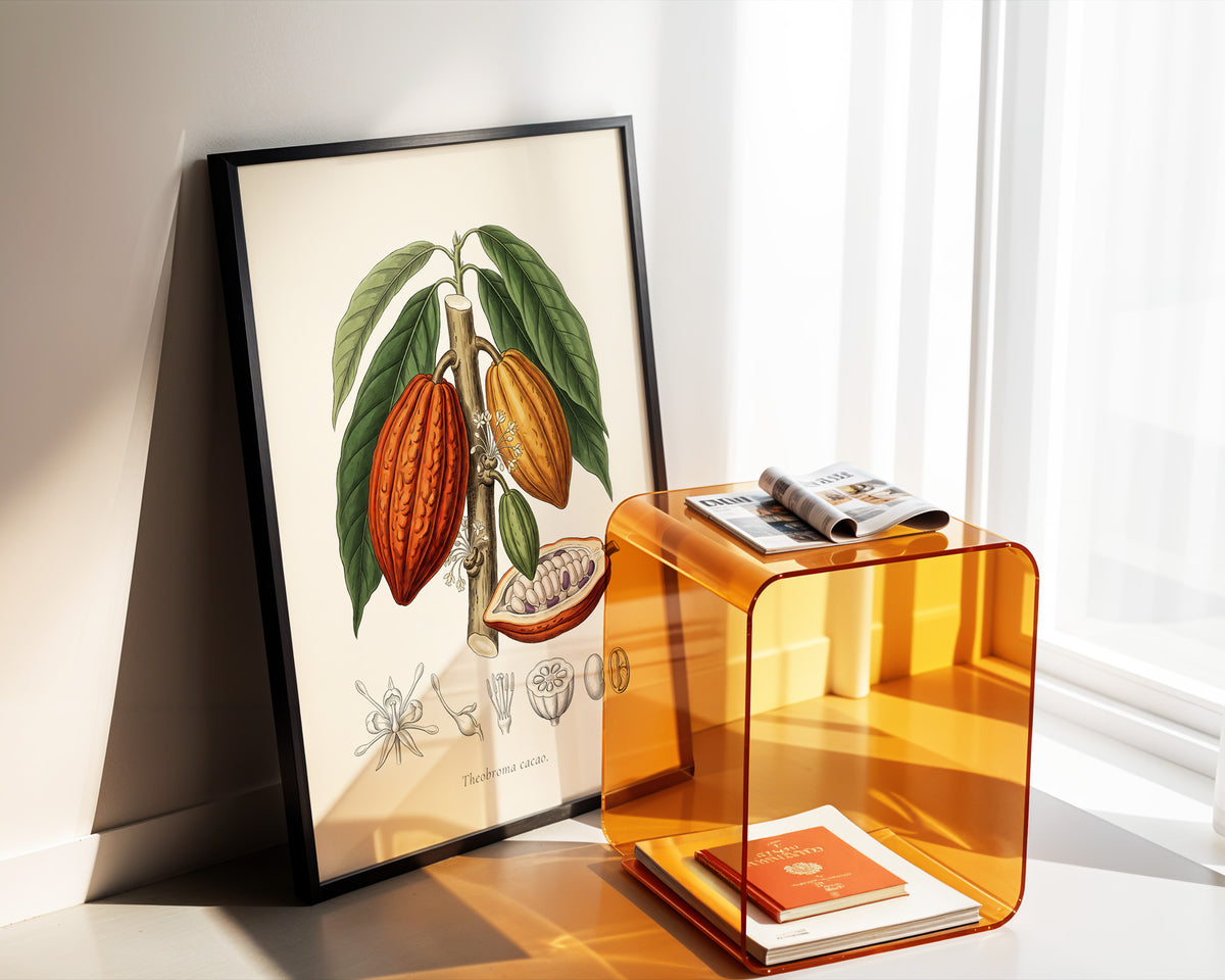 Theobroma Cacao - Cocoa Tree, Botanical Plate