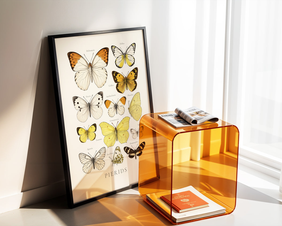 Pierids — Butterfly Chart poster