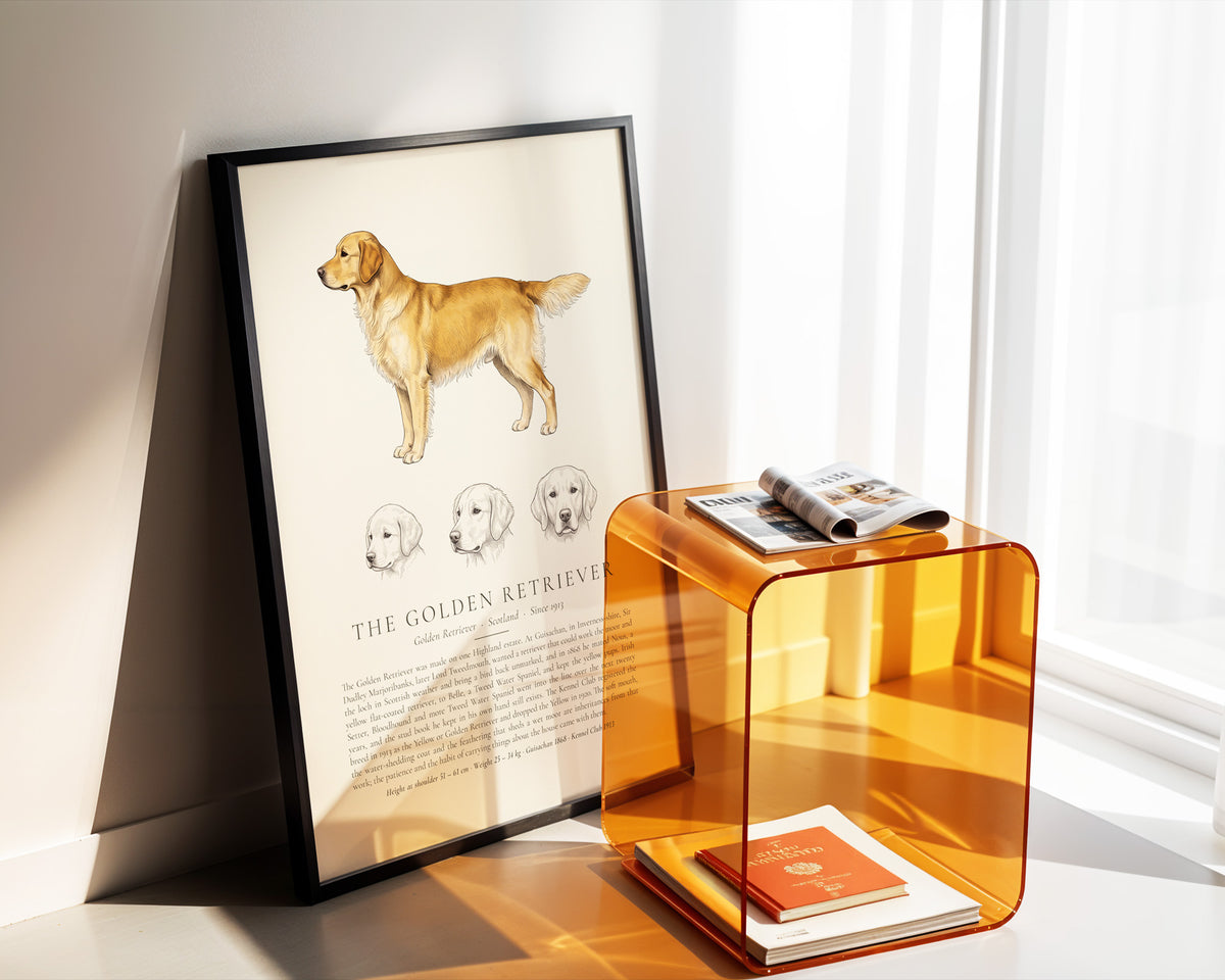 Gold Golden Retriever Plate - The Kennel Book