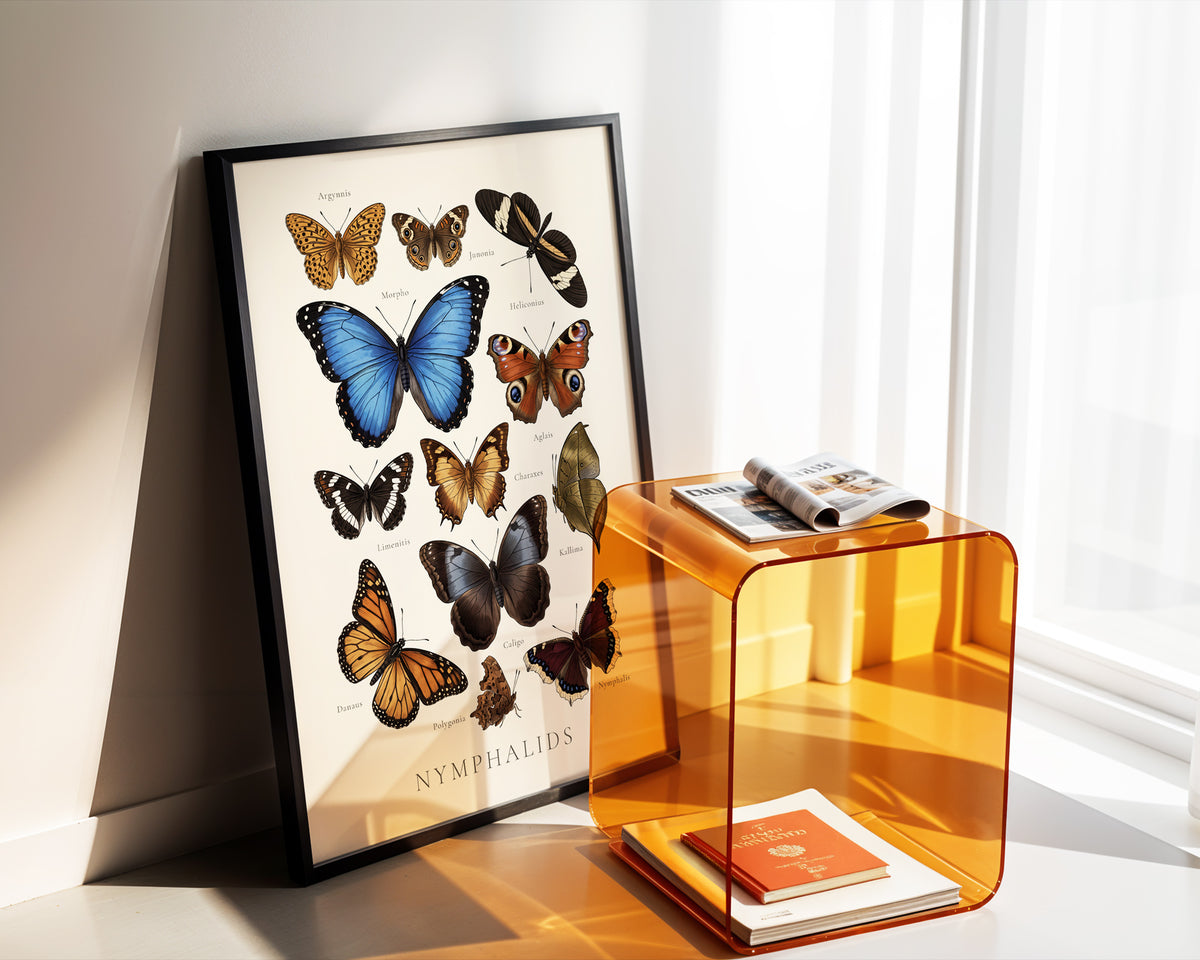 Nymphalidae — Butterfly Chart poster