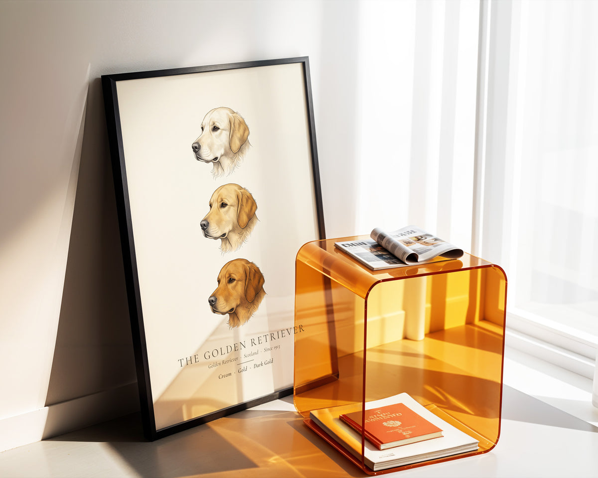 Golden Retriever Three Colours Plate - The Kennel Book