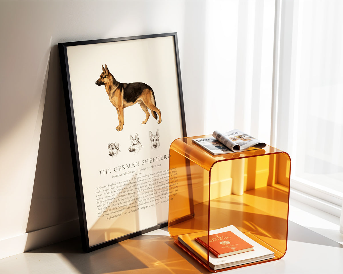 Black and Tan German Shepherd Plate - The Kennel Book