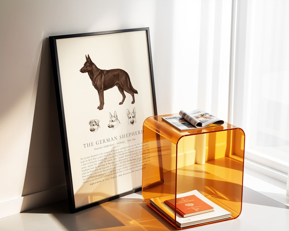 Black German Shepherd Plate - The Kennel Book