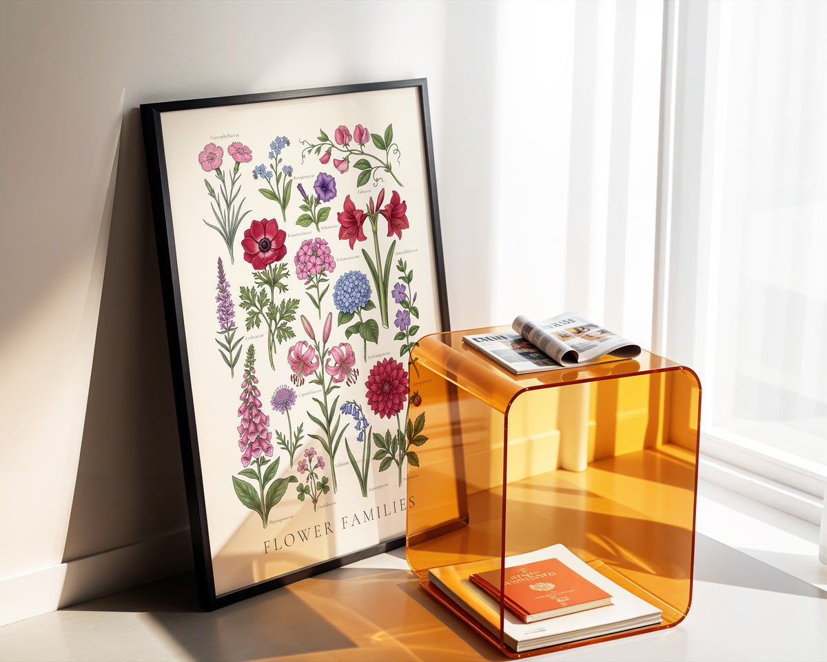 Flower Families - Botanical Chart, Sheet II