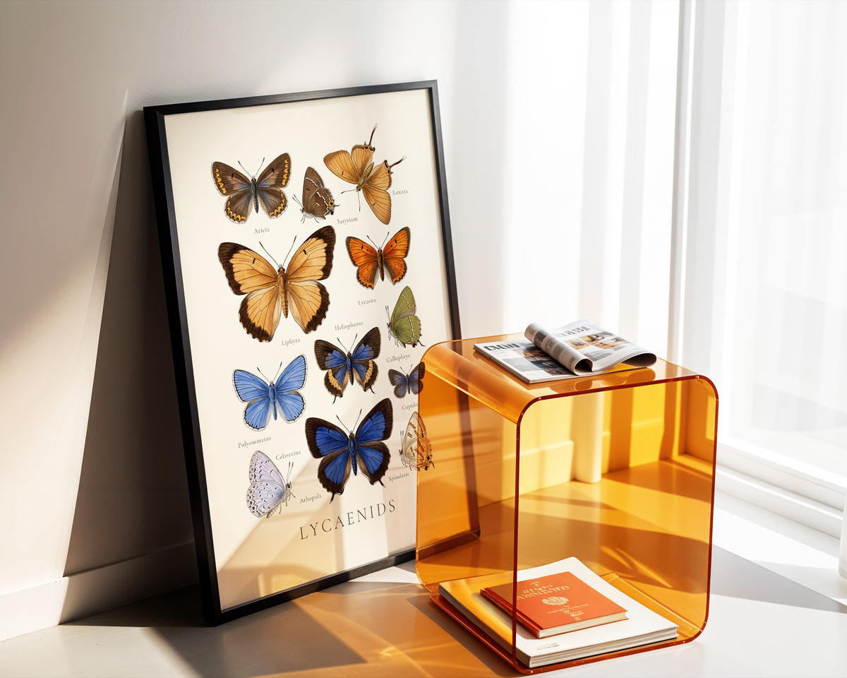 Lycaenidae — Butterfly Chart poster