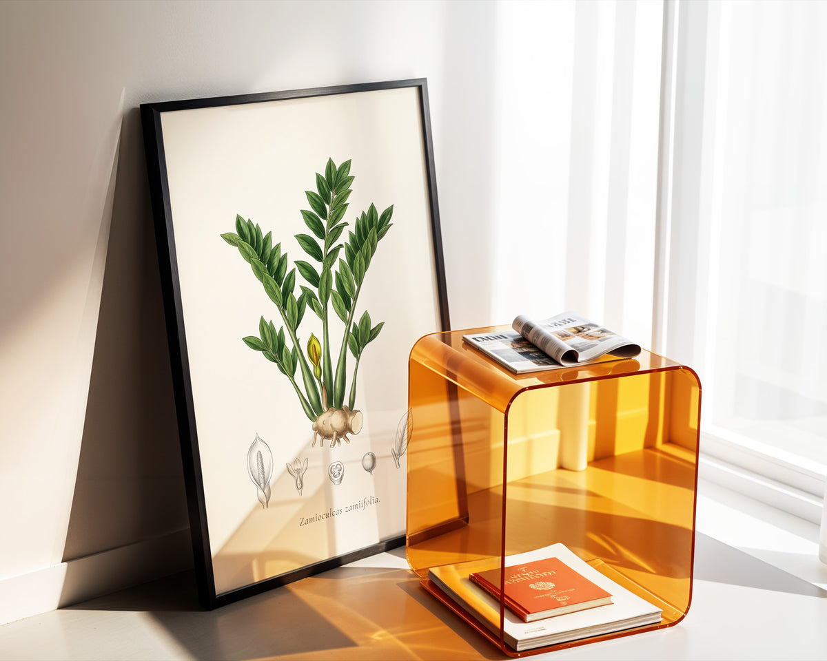 ZZ Plant Botanical Plate - Zamioculcas zamiifolia
