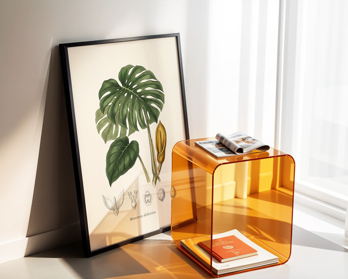 Monstera Deliciosa - Antique Botanical Plate