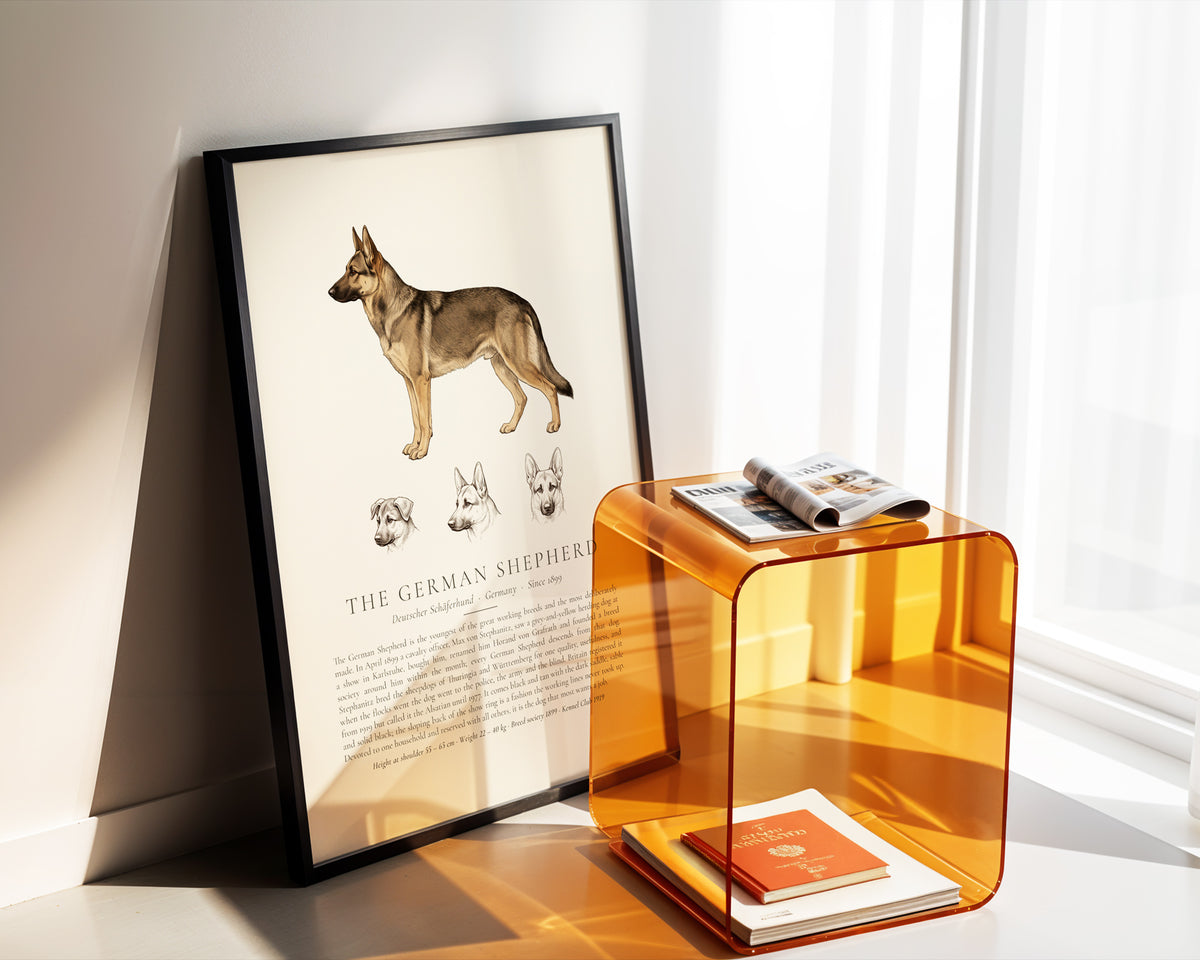 Sable German Shepherd Plate - The Kennel Book