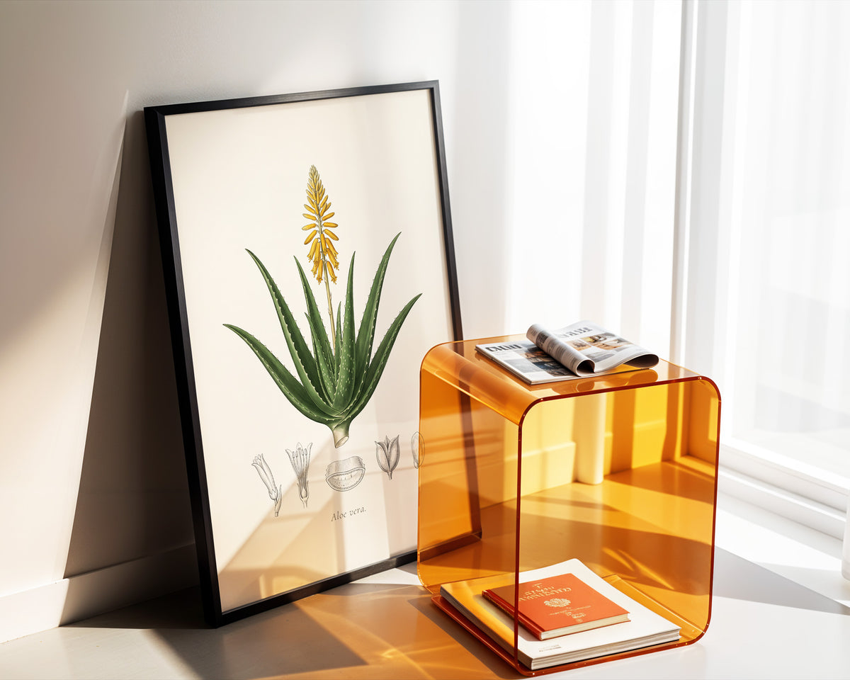 Aloe Vera Botanical Plate - Aloe vera