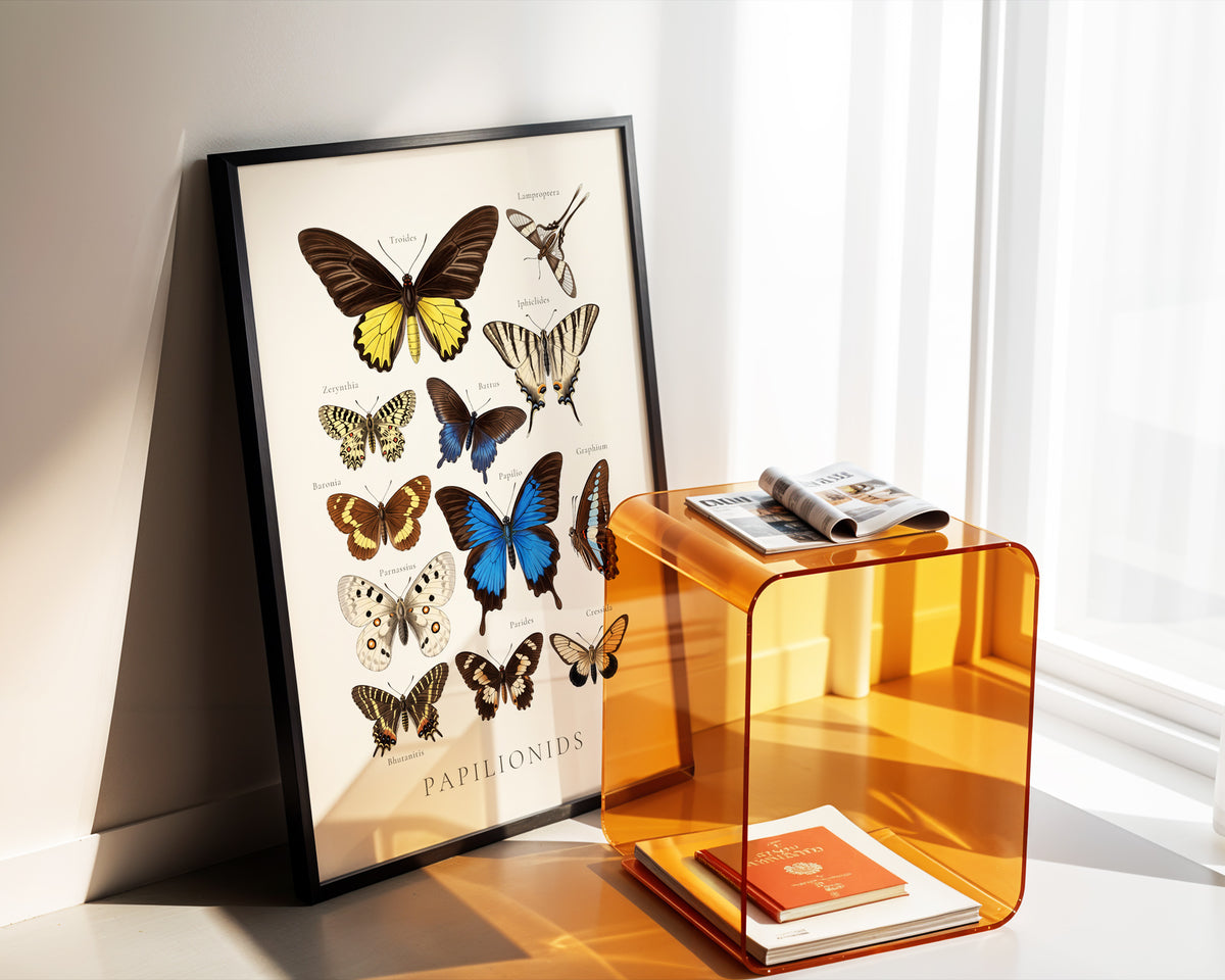 Papilionids — Butterfly Chart poster
