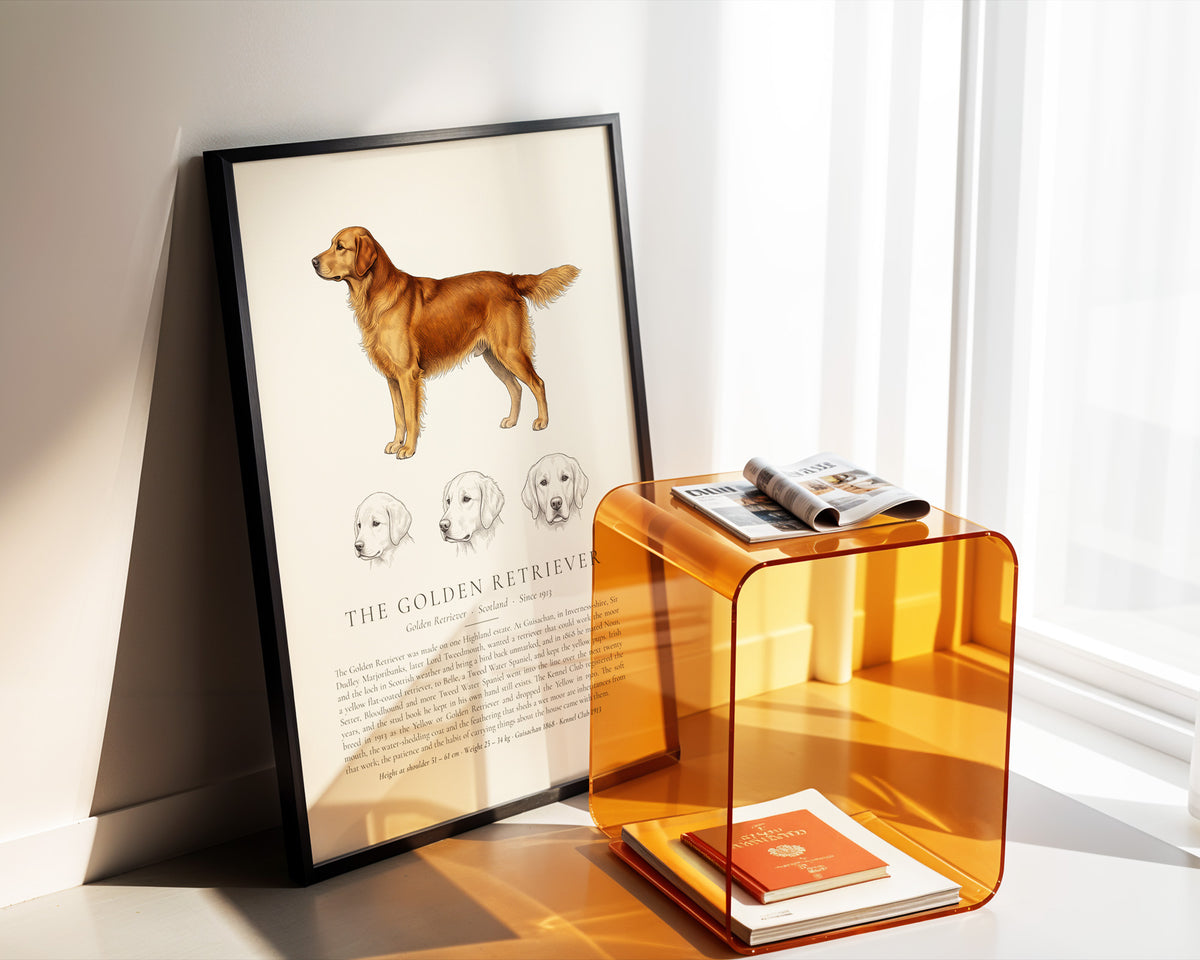 Dark Gold Golden Retriever Plate - The Kennel Book