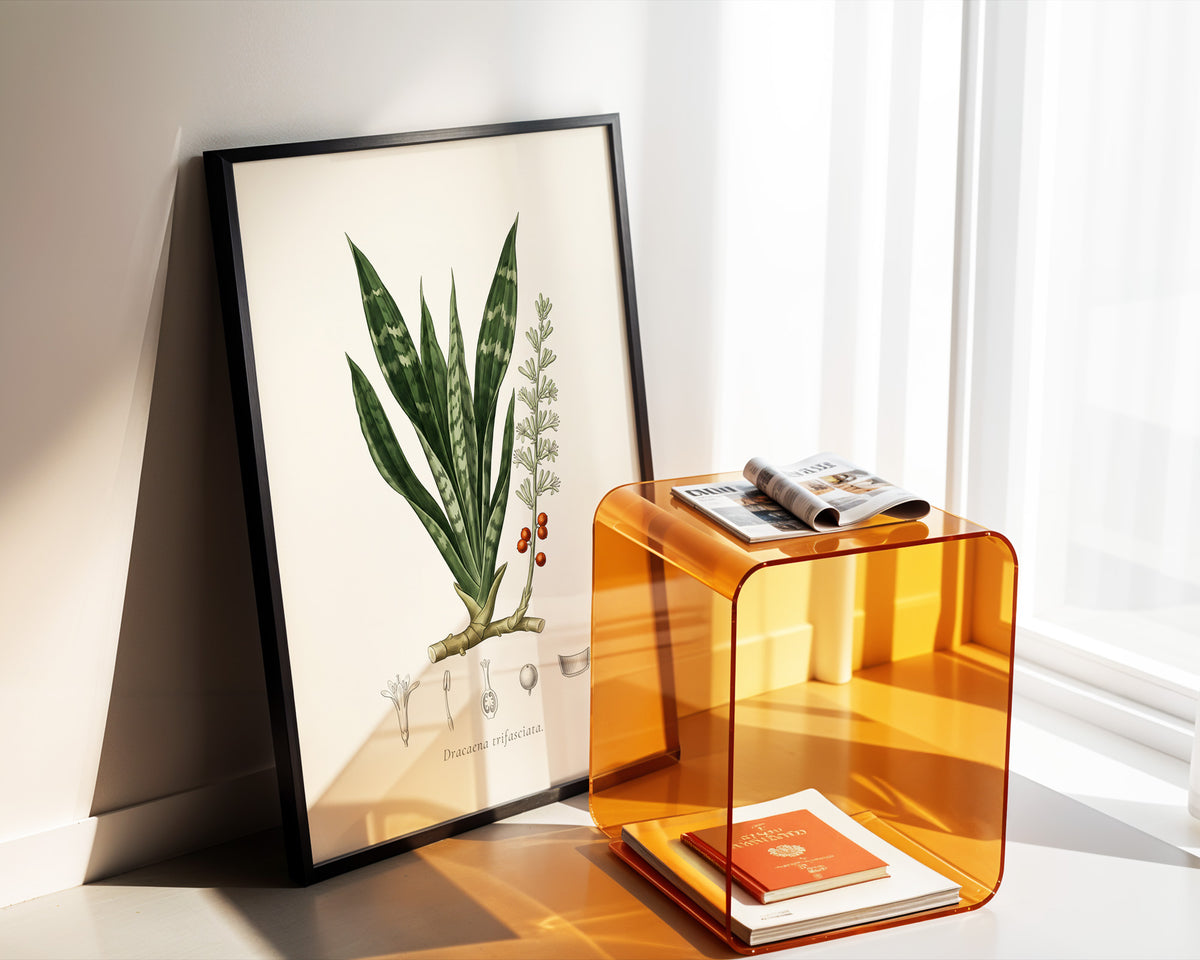 Snake Plant Botanical Plate - Dracaena trifasciata