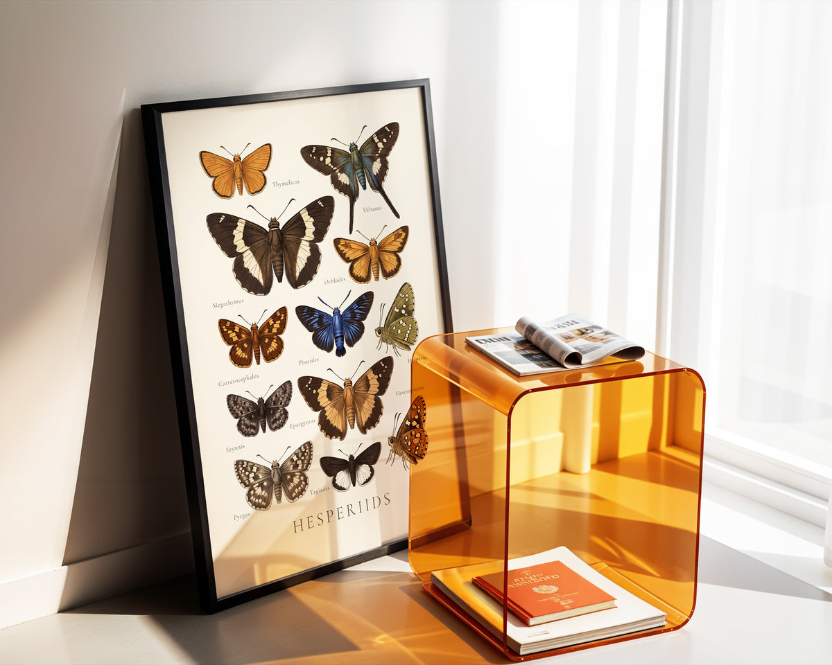 Hesperiids — Butterfly Chart poster