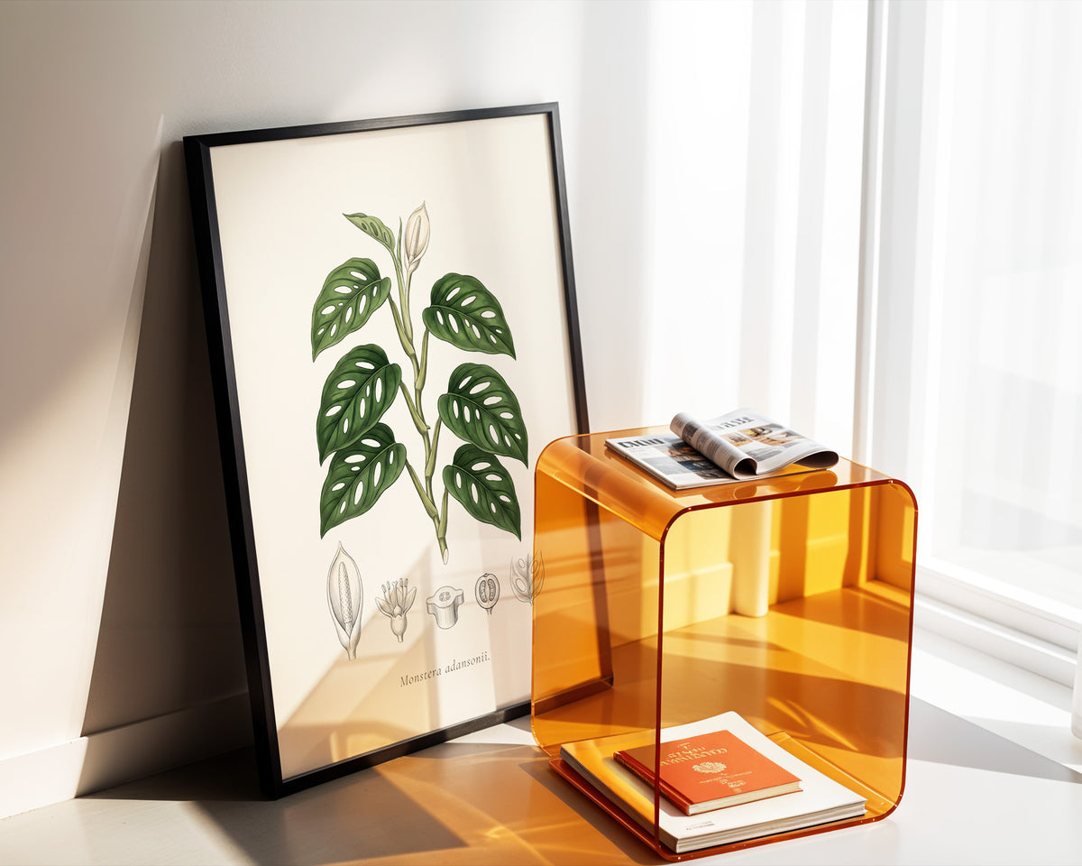Swiss Cheese Vine Botanical Plate - Monstera adansonii