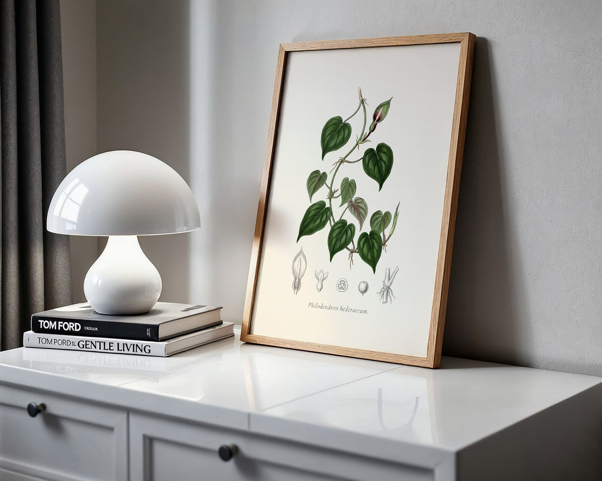 Heartleaf Philodendron Botanical Plate - Philodendron hederaceum
