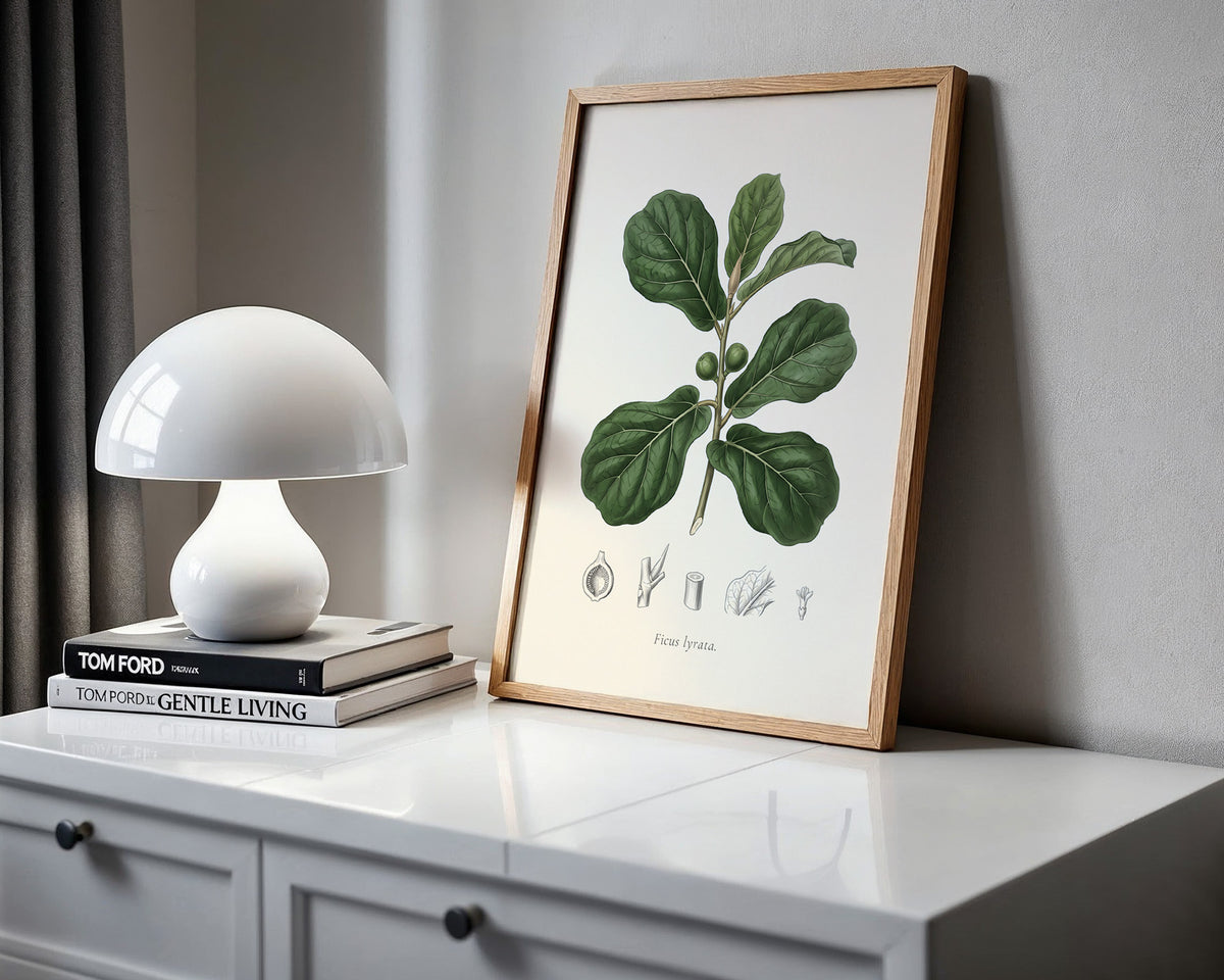 Fiddle Leaf Fig Botanical Plate - Ficus lyrata